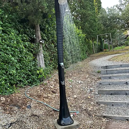 Goldy * ツリクヴェニツァ